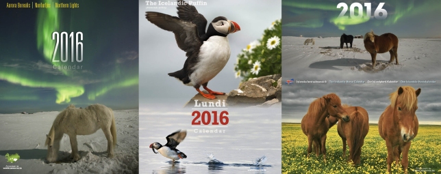 Icelandic Calendars 2016